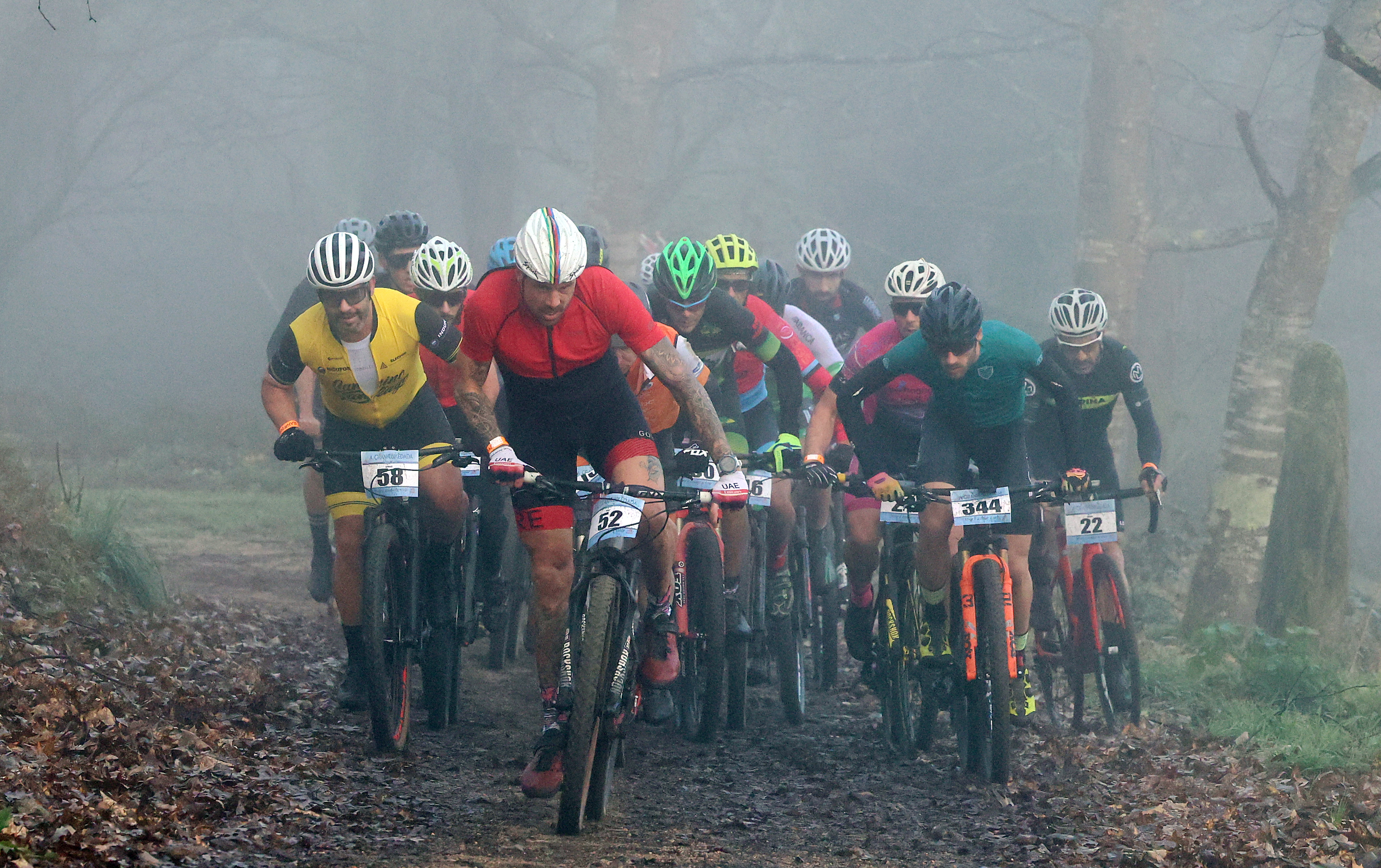 MÁS CONCENTRADA, MÁS INTENSA…