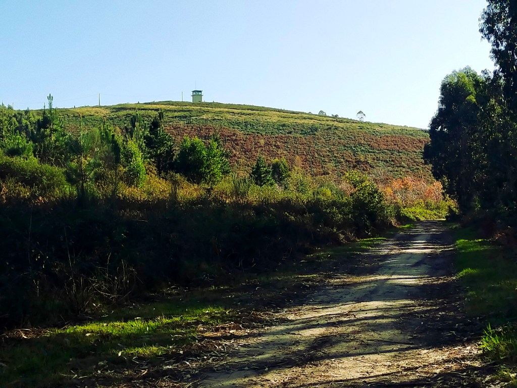 Al pie de la torre de vigilancia conrraincendios para el cronometro del primer parcial del recorrido.