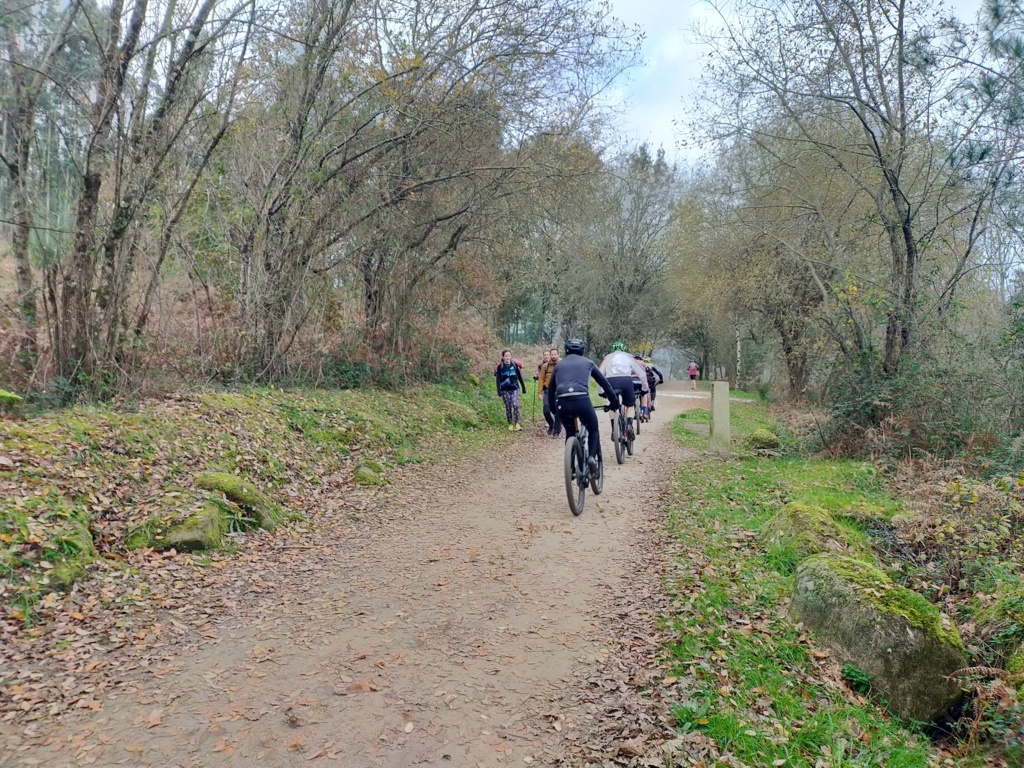 La ruta, en muy buen estado y&nbsp;rápida