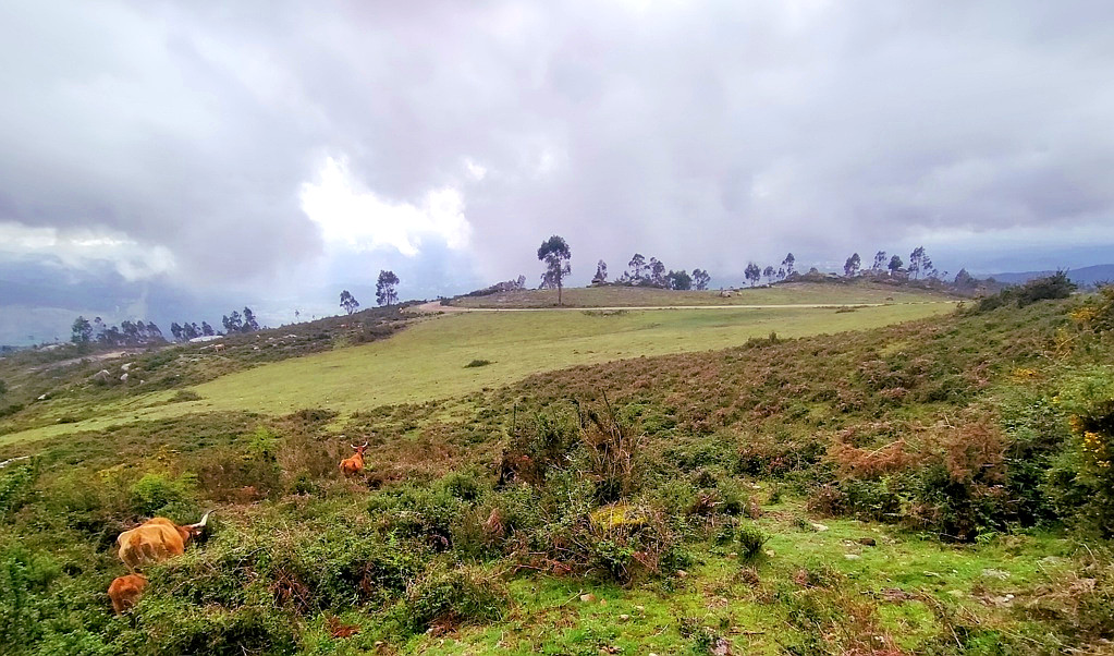 Espectacular ruta Monte Espiño -Miradoiro do&nbsp;Galleiro