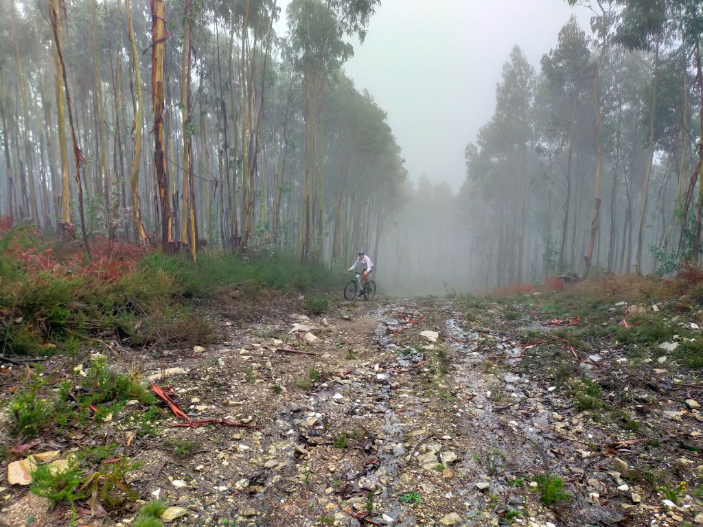 Recorridos de A Gran Bikedada 2026 y tramo&nbsp;aventura