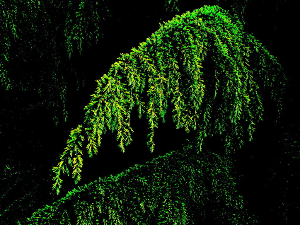 REGULAMENTO Circuíto ANDA12K&nbsp;Vigo